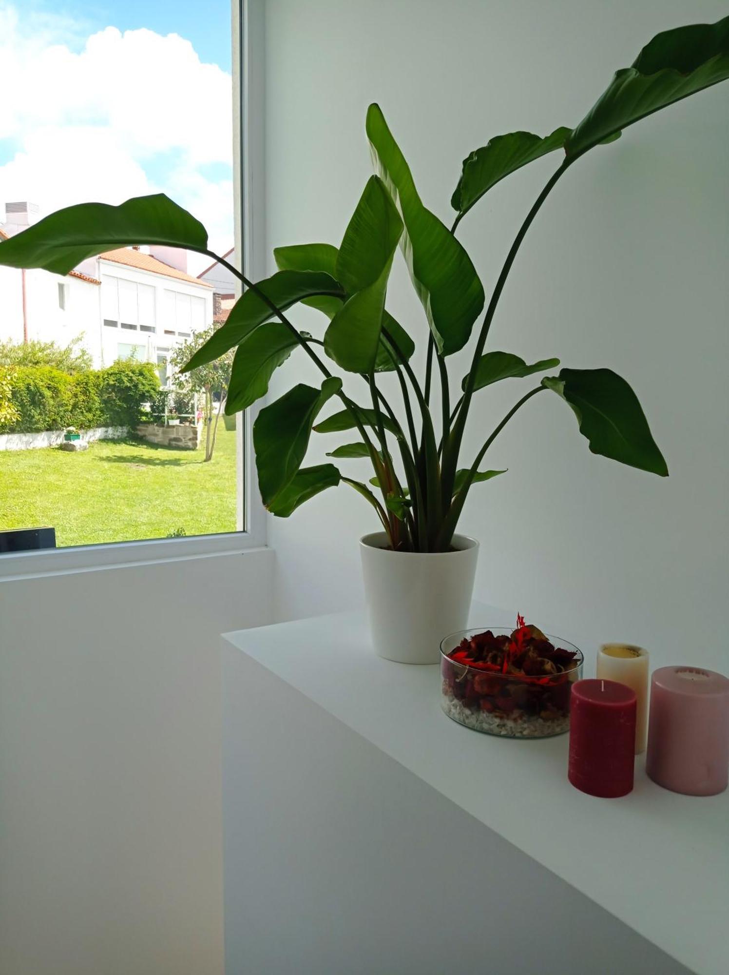 Casas Turisticas Lar Jardin - Parking Privado ซานติอาโก เด กอมโปสเตลา ภายนอก รูปภาพ