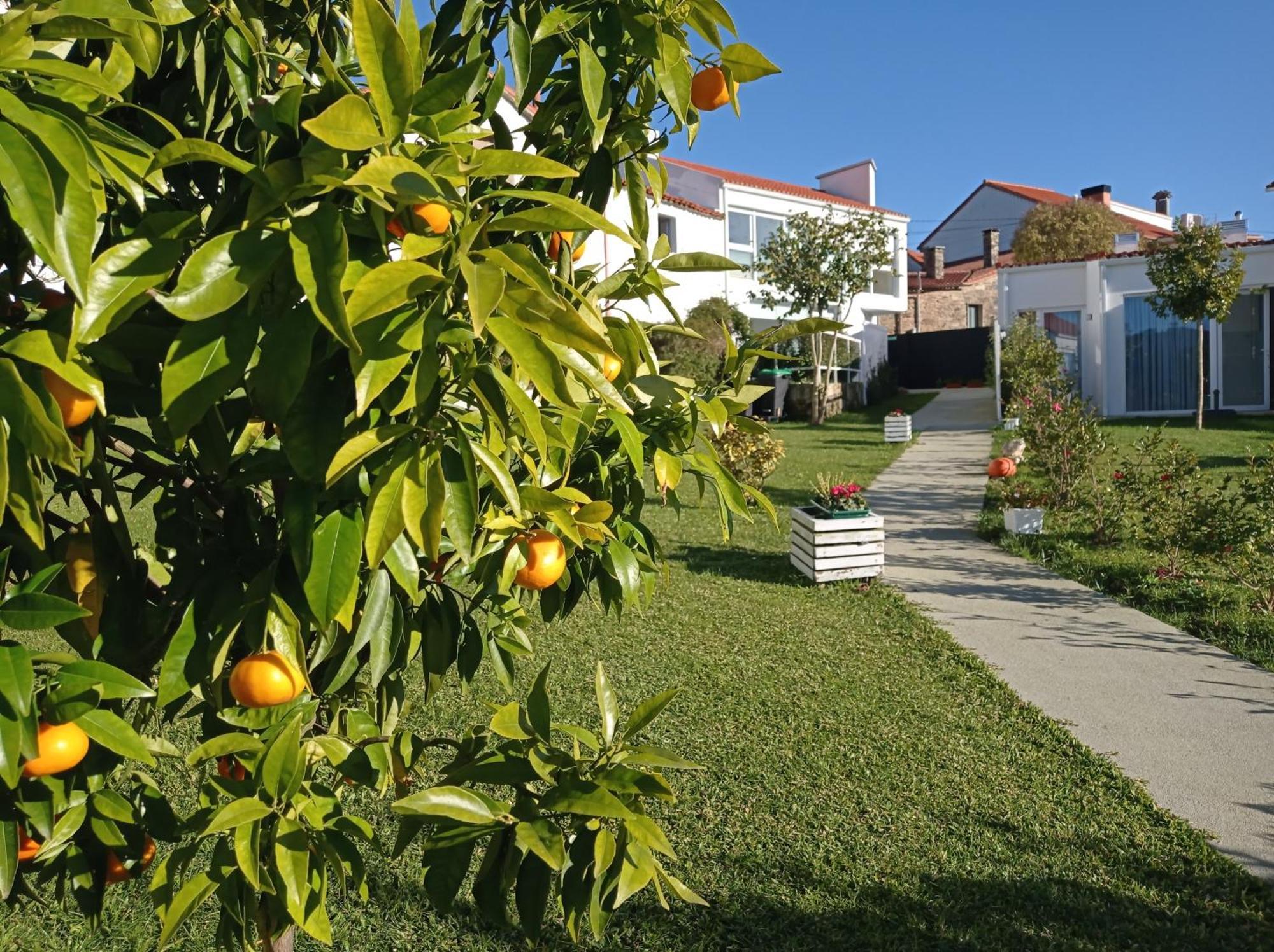 Casas Turisticas Lar Jardin - Parking Privado ซานติอาโก เด กอมโปสเตลา ภายนอก รูปภาพ